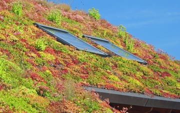 Hope Bowdler living roof systems
