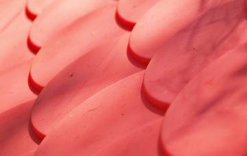 Hope Bowdler plastic roof costs